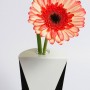 Silhouetta-Vases Cropped